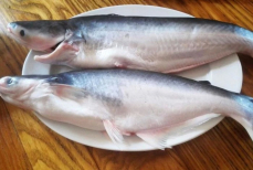 Названа рыба, которую категорически нельзя есть. Её продают во всех супермаркетах