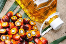 Cтоит ли бить тревогу из-за пальмового масла