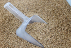 И белок, и клетчатка. Какая каша самая полезная по мнению ученых — лучше гречки