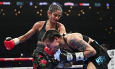 Официально объявлен бой за звание «абсолюта» между непобежденными соперниками