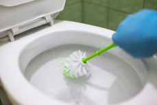 Химик перечислила лучшие средства для чистки унитаза