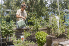 Простые правила для дачников, которые помогут сохранить здоровье