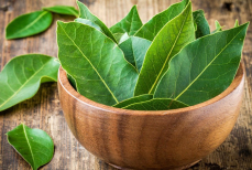 Как помыть стекла с помощью лаврового листа — станут настолько прозрачными, что можно не заметить