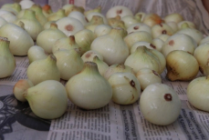 Раскрыт самый нестандартный лайфхак для очистки лука — займет 20-30 секунд