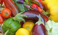 Названы овощи, которые могут вас отравить. Вы едите их каждый день