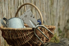 Как очистить садовые инструменты до блеска — многоразовый метод. Нужны лишь два компонента