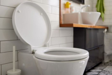 Смывать унитаз с поднятой или опущенной крышкой