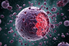 Теория рака. Как запрограммировать опухоль на самоуничтожение