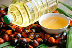 Диетолог развеял миф о вреде пальмового масла