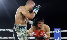 Видео полного боя Тим Цзю — Джозеф Спенсер за титул WBO с быстрым нокаутом