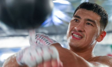 В Госдуме России отреагировали на отказ Бивола от титула чемпиона мира