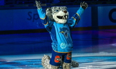 «Барысу» сообщили плохую новость после отставки руководителя