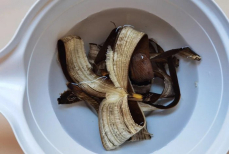 Этот «мусор» может стать шикарным сырьем для удобрения рассады — богато макроэлементами и аминокислотами