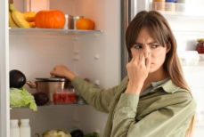 «Могут привести к смерти». Биолог рассказал об опасной причине неприятного запаха в холодильнике