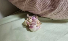 Для чего ложить чеснок под подушку — так делали еще наши предки