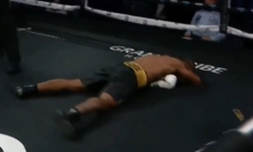 Брутальными нокаутами и разгромами завершились бои олимпийских чемпионов в профи. Видео