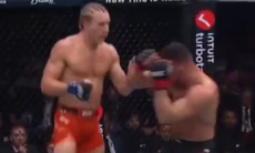 Бой Чендлер — Пимблетт на UFC 314 завершился кровавым нокаутом. Видео