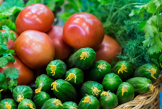 Сколько стоят огурцы и помидоры в регионах РК