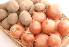 Почему картошку нельзя хранить рядом с луком. «Соседи», которые сильно вредят друг другу