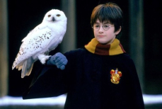 Стал известен актерский состав сериала по «Гарри Поттеру»