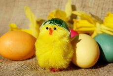 Запрещено выбрасывать в мусорку — что делать со скорлупой священных яиц