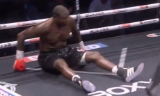 Бой олимпийского призера-супертяжа завершился брутальным нокаутом в первом раунде. Видео