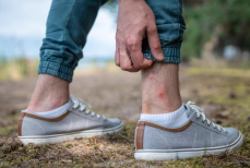 Людей с какой группой крови комары кусают чаще