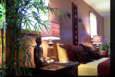 Фэн-шуй в интерьере — какие комнатные растения помогут привлечь деньги