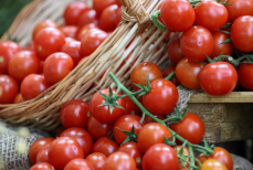 Диетолог рассказала, кому и почему нельзя есть помидоры