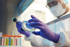 Таяние арктических льдов может привести к распространению древних смертельных болезней