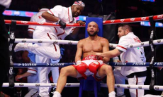 Титулы или новый побег? Стали известны планы Юбэнка по бою с Алимханулы