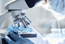 Ученые создали растительный аналог морепродуктов