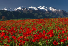 Какие изменения произойдут в Казахстане с первого мая