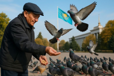 Какой штраф в Казахстане за кормление голубей