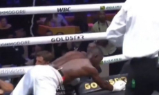 Чемпион мира оформил яркий нокаут левым хуком. Видео