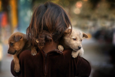 Названы знаки зодиака, которые всегда помогут — кого считают самыми добрыми