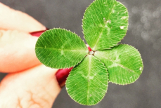 Почему важно уметь распознавать момент удачи — и как не упустить шанс