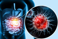 Орех, который убережет от рака и инсульта. Ученые назвали его