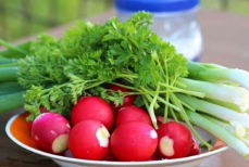 Назван полезный весенний овощ. Кладезь витаминов и всего 16 калорий