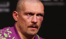 Лошадь нокаутировала Александра Усика