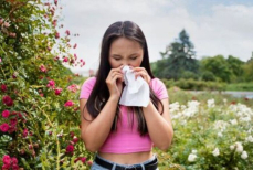 Как пробиотики могут помочь в борьбе с майской аллергией