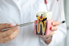 Ученые впервые вырастили зубы в лаборатории