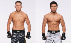 «Такого нельзя допускать». Вынесен вердикт историческому бою Казахстан — Узбекистан в UFC