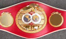 Стали известны дата и место проведения определяющего будущее Алимханулы боя