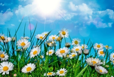 Какая погода ждет казахстанцев летом