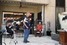 Кот совершил самый длинный прыжок в мире и попал в Книгу рекордов Гиннесса