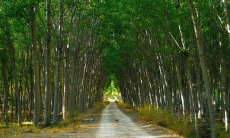 Казахстанцам напомнили об угрозе под ногами