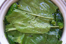 Это растение — природный антисептик. Не спешите избавляться от него в огороде