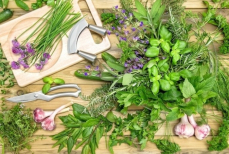 Эта весенняя зелень заменит витаминные добавки и поддержит иммунитет