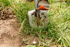 Как избавиться от сорняков без перекопки. Перечислены простые методы ухода за садом